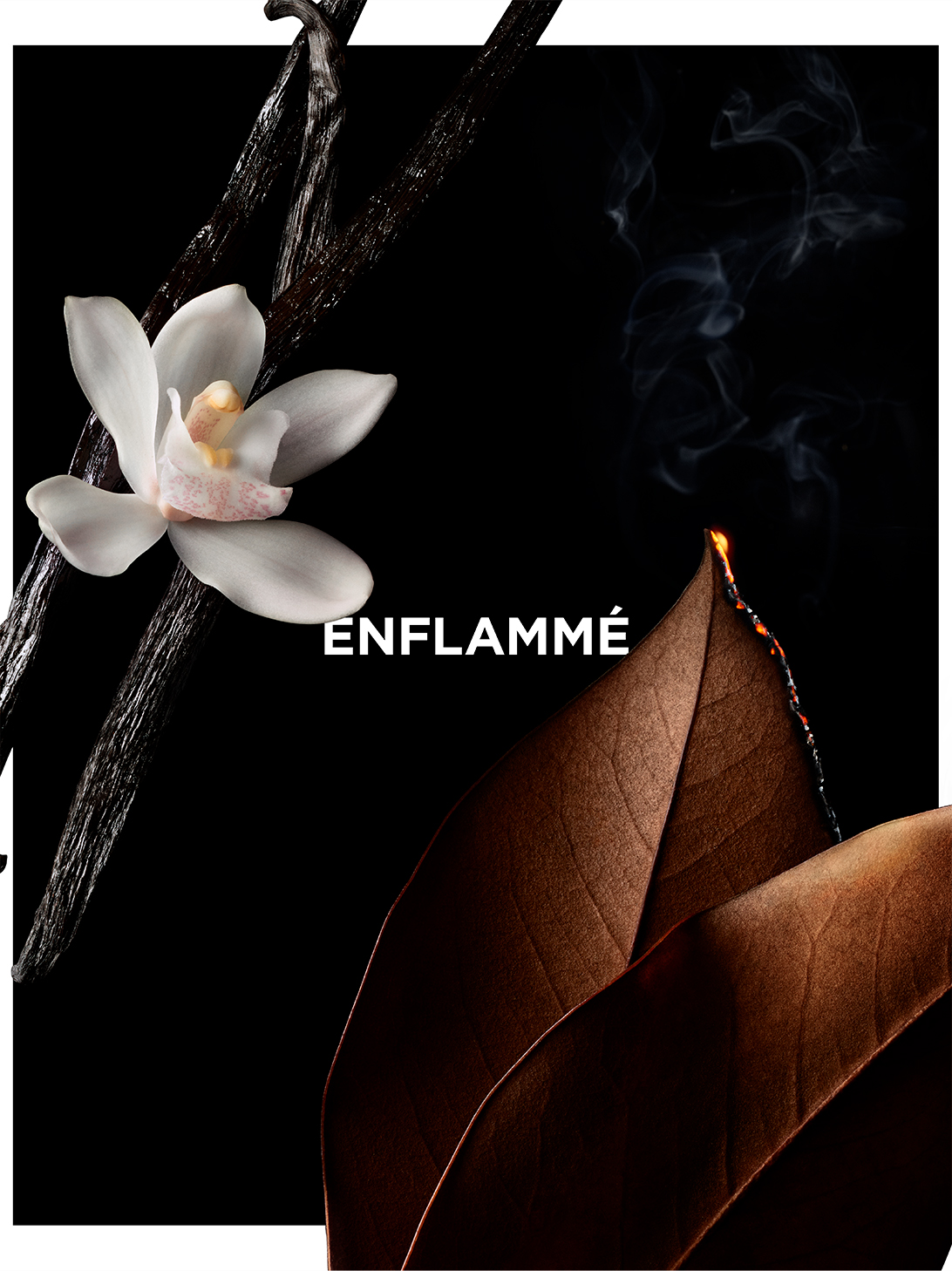 Enflammé - La collection particulière - eau de parfum vanilla 
